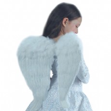 ali angelo