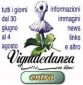 Vignaledanza